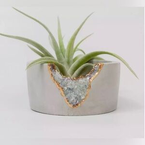 New TAL & BERT Shallow Fluorite Cement Mini Planter-Tea light candle holder
